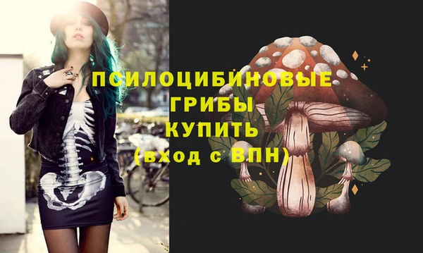 мяу мяу кристалл Бородино