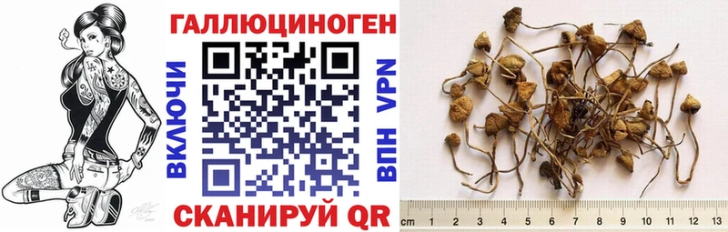Галлюциногенные грибы Magic Shrooms Ростов